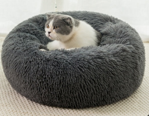 Cozy cat in plush bed