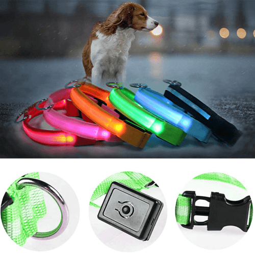 LED Dog Collar Adjustable Glow Safety Light Up - Smokey Finds