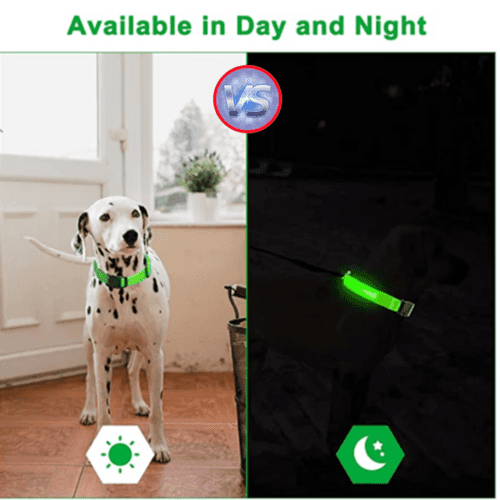 LED Dog Collar Adjustable Glow Safety Light Up - Smokey Finds