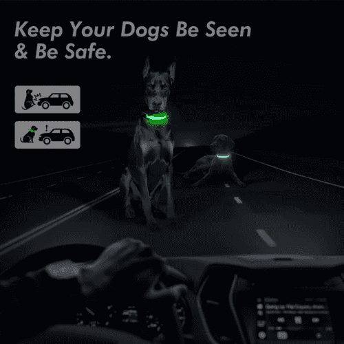 LED Adjustable Dog Collar Blinking Flashing Light Up Glow Pets Safety - Smokey Finds