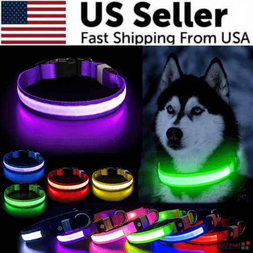 LED Dog Collar Adjustable Glow Safety Light Up - Smokey Finds