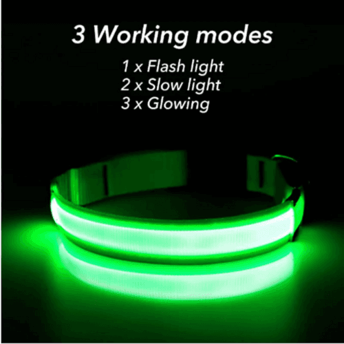 LED Adjustable Dog Collar Blinking Flashing Light Up Glow Pets Safety - Smokey Finds