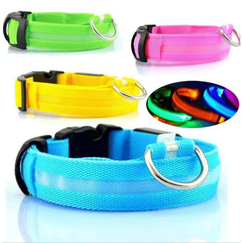 LED Dog Collar Adjustable Glow Safety Light Up - Smokey Finds