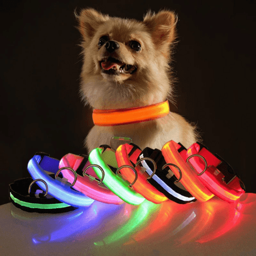 LED Adjustable Dog Collar Blinking Flashing Light Up Glow Pets Safety - Smokey Finds