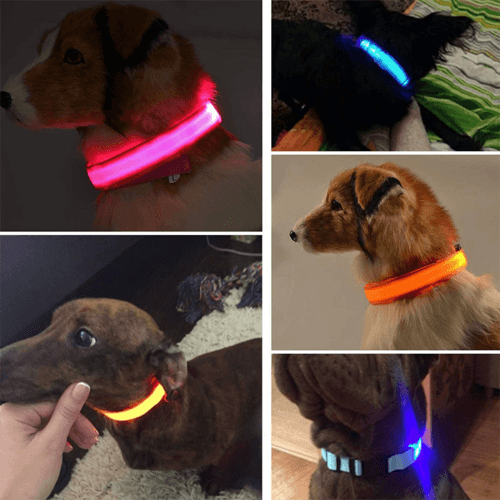 LED Dog Collar Adjustable Glow Safety Light Up - Smokey Finds
