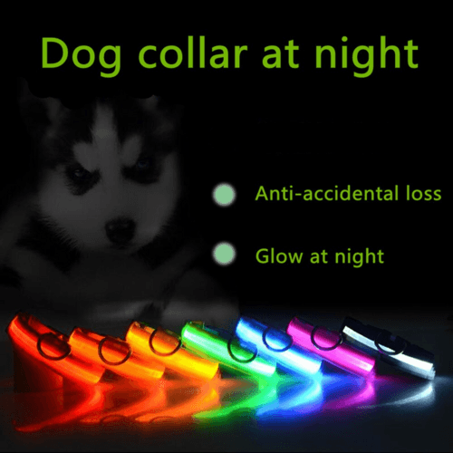 LED Adjustable Dog Collar Blinking Flashing Light Up Glow Pets Safety - Smokey Finds