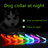 LED Dog Collar Adjustable Glow Safety Light Up - Smokey Finds