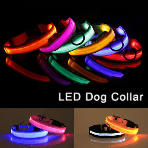 LED Dog Collar Adjustable Glow Safety Light Up - Smokey Finds