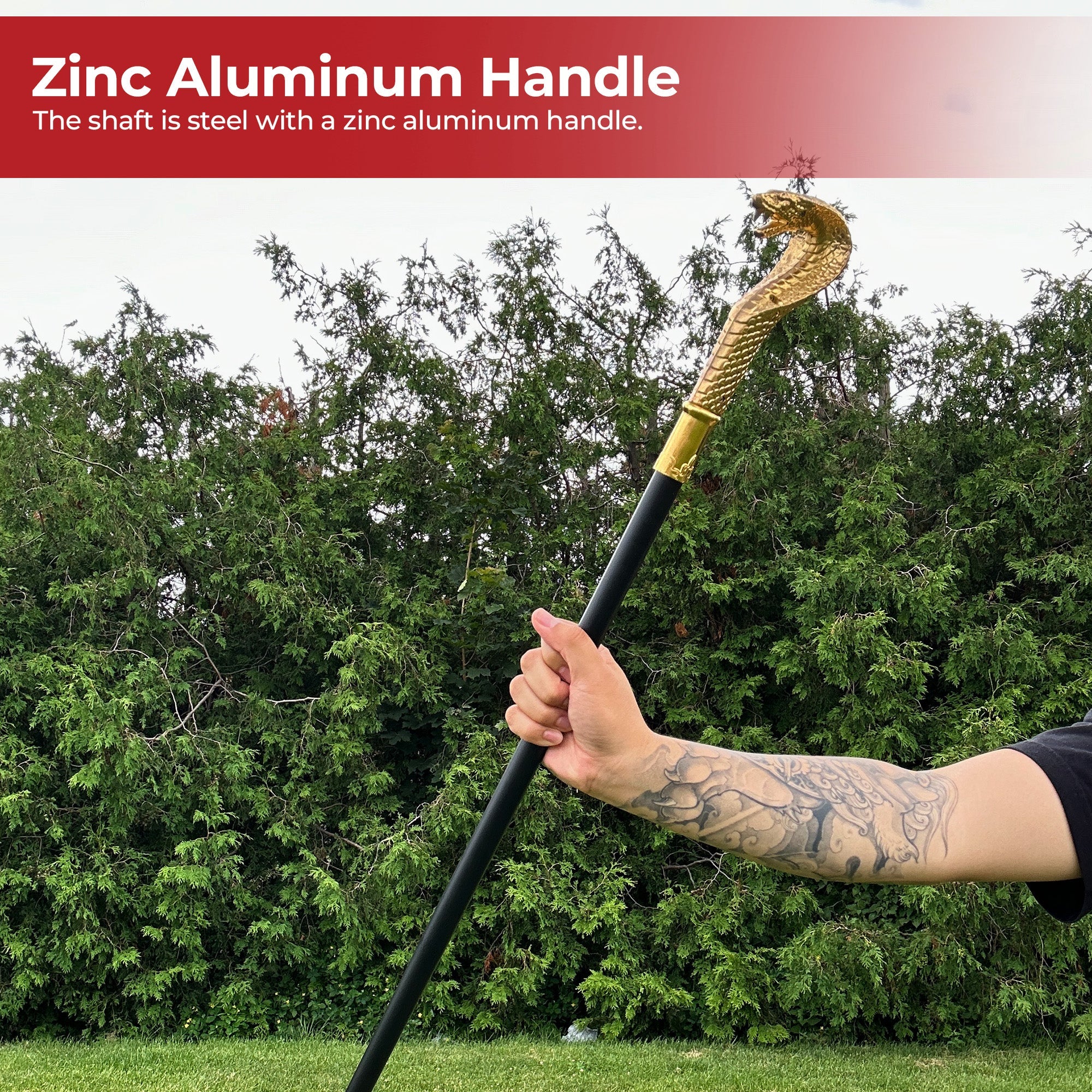 hand holding gold cobra cane outdoors