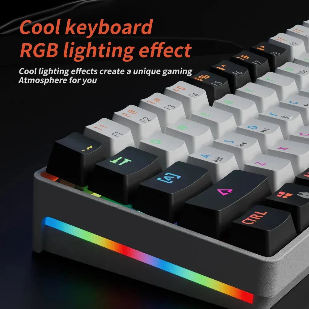 NNEOBA 61-Key Mechanical Gaming Keyboard | Hot-Swap Red Switches & RGB