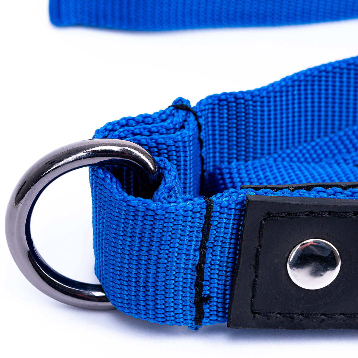 Leash