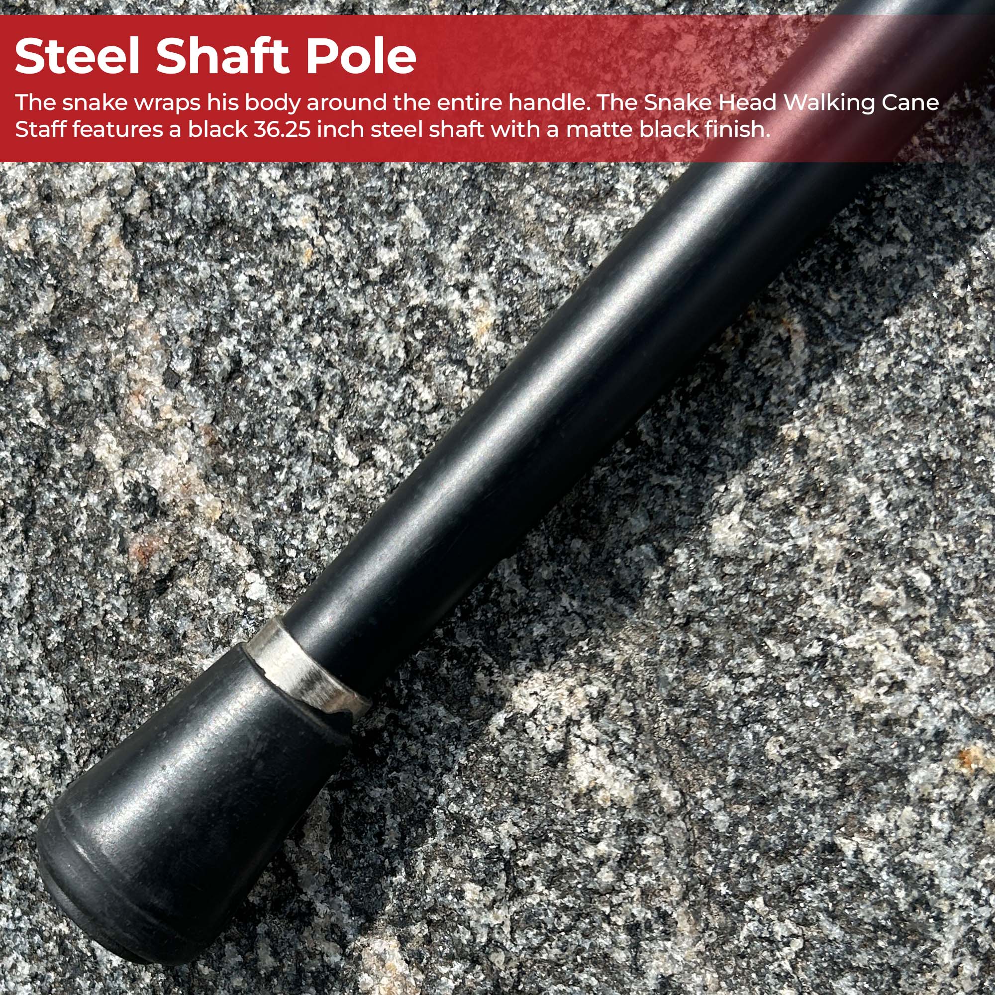 Metal snake mouth design on walking cane handle with black shaft