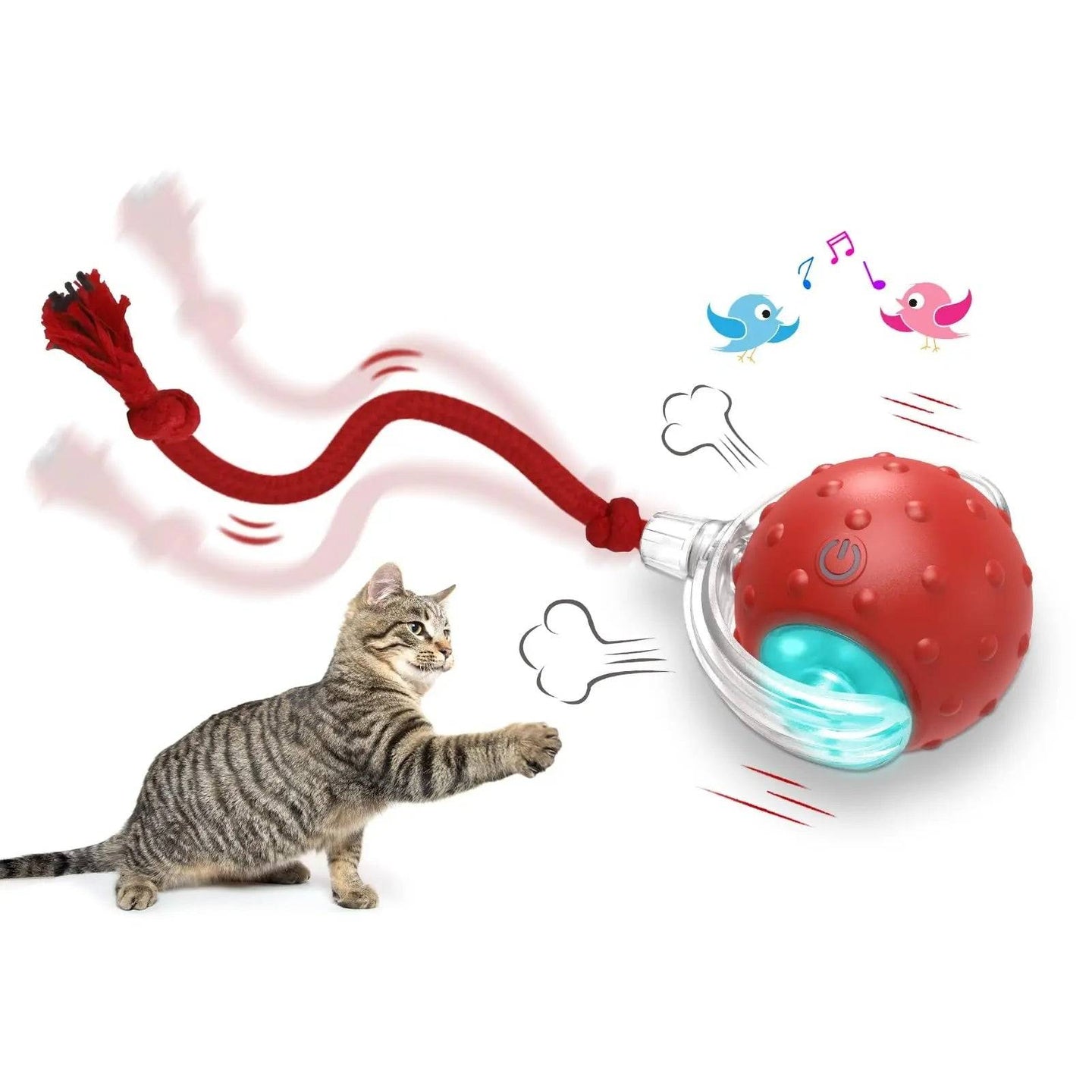 Interactive Cat Toy Ball – Auto-Rolling, Chirping & Motion-Activated - Smokey Finds