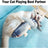 Electric Flipping Fish Toy for Cats - Smokey Finds